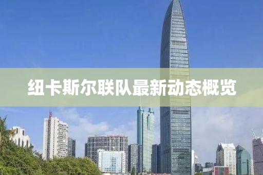 紐卡斯爾聯(lián)隊最新動態(tài)概覽