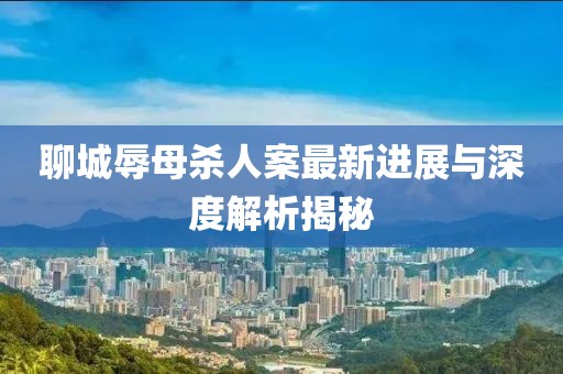 聊城辱母殺人案最新進展與深度解析揭秘