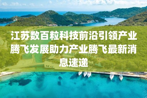 江蘇數(shù)百粒科技前沿引領(lǐng)產(chǎn)業(yè)騰飛發(fā)展助力產(chǎn)業(yè)騰飛最新消息速遞