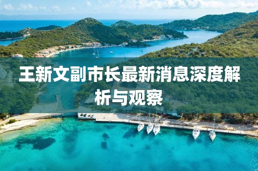王新文副市長最新消息深度解析與觀察