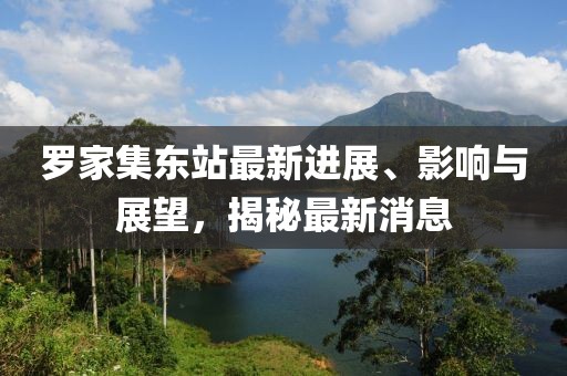 羅家集東站最新進展、影響與展望，揭秘最新消息