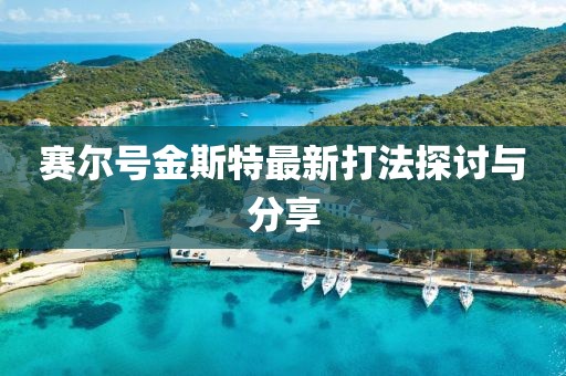 賽爾號(hào)金斯特最新打法探討與分享
