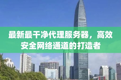 最新最干凈代理服務(wù)器，高效安全網(wǎng)絡(luò)通道的打造者