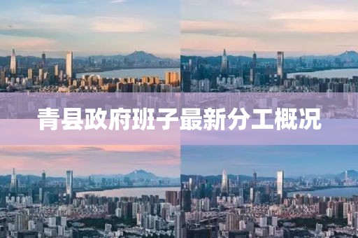 青縣政府班子最新分工概況