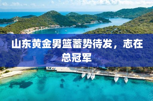 山東黃金男籃蓄勢待發(fā)，志在總冠軍