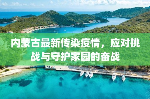 內(nèi)蒙古最新傳染疫情，應(yīng)對(duì)挑戰(zhàn)與守護(hù)家園的奮戰(zhàn)