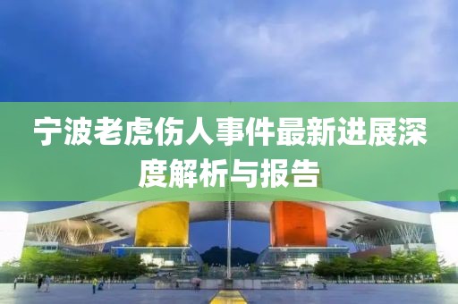 寧波老虎傷人事件最新進展深度解析與報告