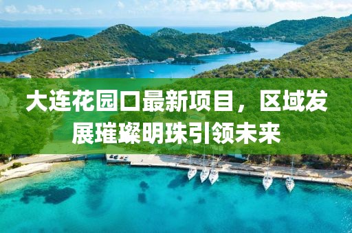 大連花園口最新項(xiàng)目，區(qū)域發(fā)展璀璨明珠引領(lǐng)未來