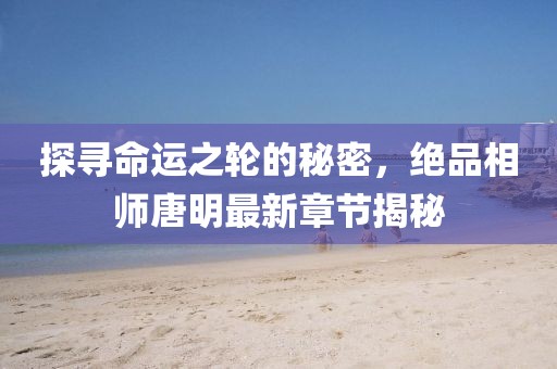 探尋命運(yùn)之輪的秘密，絕品相師唐明最新章節(jié)揭秘
