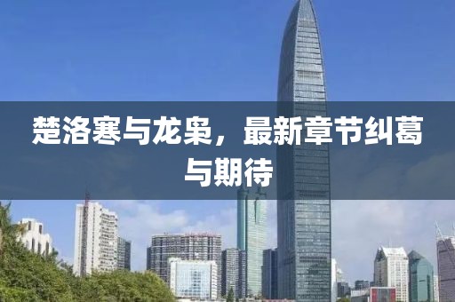 楚洛寒與龍梟，最新章節(jié)糾葛與期待