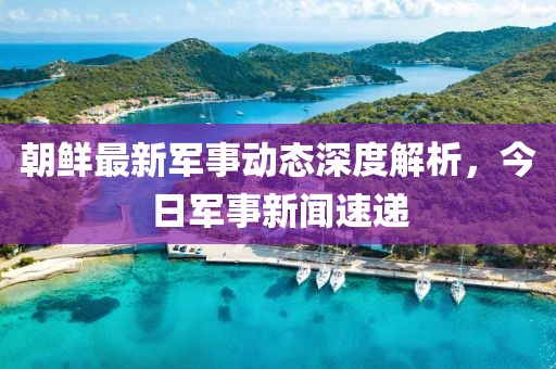 朝鮮最新軍事動態(tài)深度解析，今日軍事新聞速遞