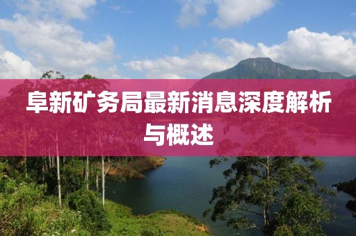 阜新礦務(wù)局最新消息深度解析與概述