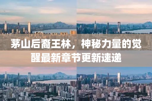 茅山后裔王林，神秘力量的覺(jué)醒最新章節(jié)更新速遞