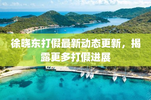 徐曉東打假最新動態(tài)更新，揭露更多打假進(jìn)展