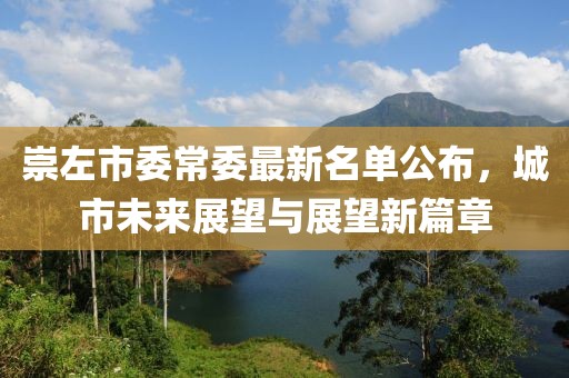 崇左市委常委最新名單公布，城市未來展望與展望新篇章