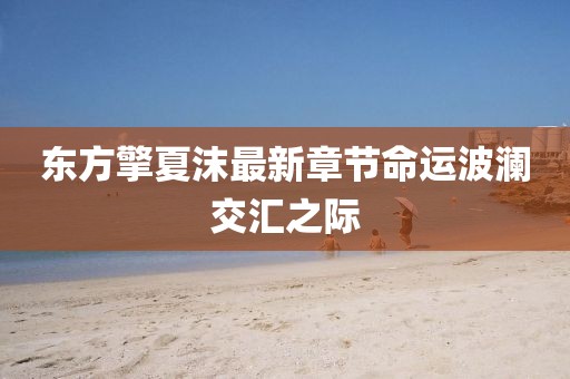 東方擎夏沫最新章節(jié)命運(yùn)波瀾交匯之際