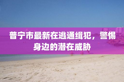普寧市最新在逃通緝犯，警惕身邊的潛在威脅