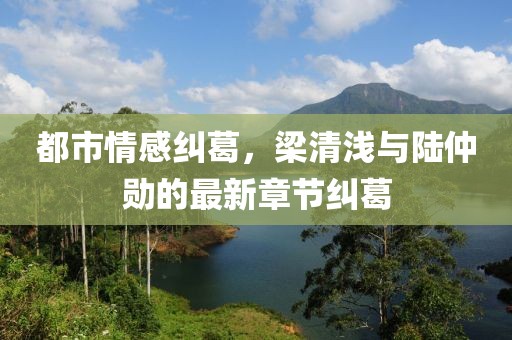 都市情感糾葛，梁清淺與陸仲勛的最新章節(jié)糾葛
