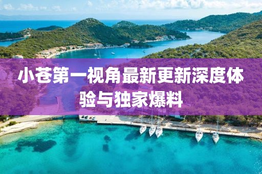 小蒼第一視角最新更新深度體驗與獨家爆料