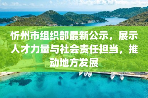 忻州市組織部最新公示，展示人才力量與社會責任擔當，推動地方發(fā)展