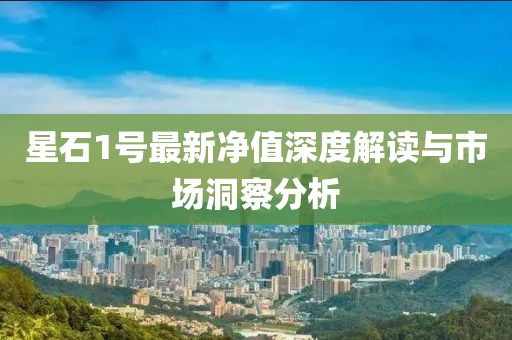 星石1號(hào)最新凈值深度解讀與市場(chǎng)洞察分析