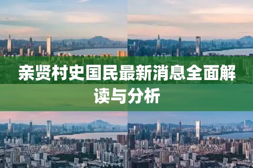 親賢村史國(guó)民最新消息全面解讀與分析