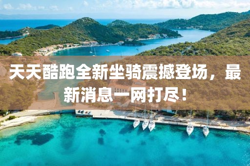 怕你分