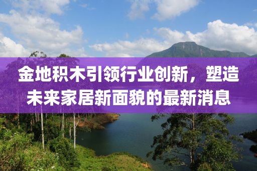 金地積木引領行業(yè)創(chuàng)新，塑造未來家居新面貌的最新消息