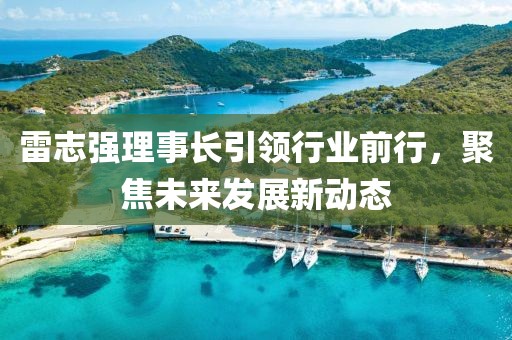 雷志強(qiáng)理事長(zhǎng)引領(lǐng)行業(yè)前行，聚焦未來(lái)發(fā)展新動(dòng)態(tài)