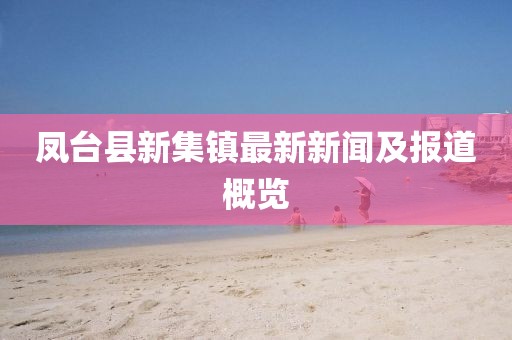 鳳臺縣新集鎮(zhèn)最新新聞及報道概覽