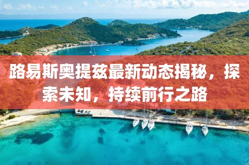 路易斯奧提茲最新動態(tài)揭秘，探索未知，持續(xù)前行之路