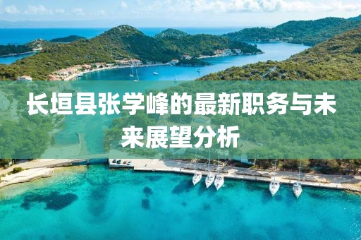 長垣縣張學(xué)峰的最新職務(wù)與未來展望分析
