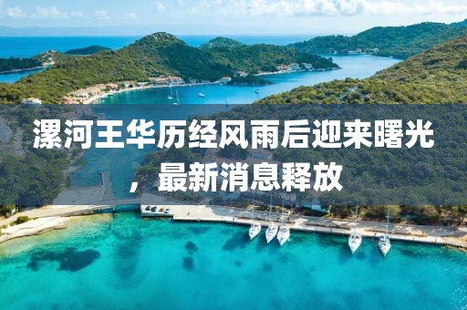 漯河王華歷經(jīng)風(fēng)雨后迎來(lái)曙光，最新消息釋放