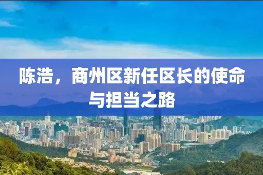 陳浩，商州區(qū)新任區(qū)長(zhǎng)的使命與擔(dān)當(dāng)之路