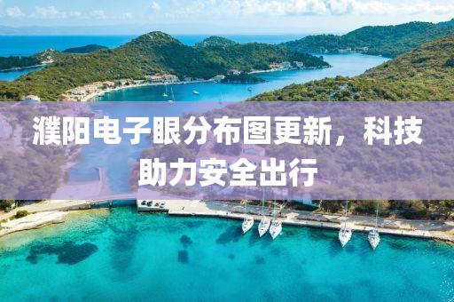 濮陽電子眼分布圖更新，科技助力安全出行
