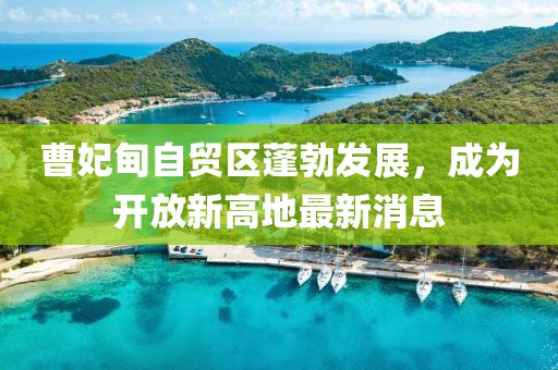 曹妃甸自貿(mào)區(qū)蓬勃發(fā)展，成為開(kāi)放新高地最新消息