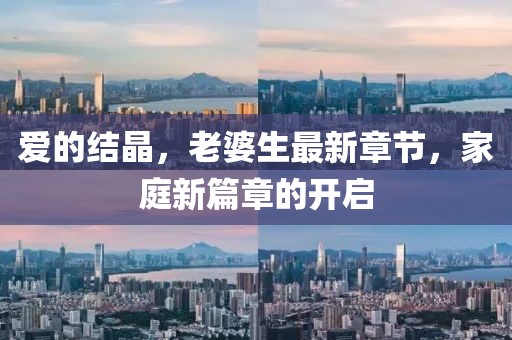 愛的結(jié)晶，老婆生最新章節(jié)，家庭新篇章的開啟