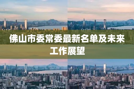 佛山市委常委最新名單及未來(lái)工作展望