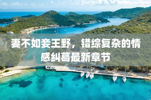 妻不如妾王野，錯(cuò)綜復(fù)雜的情感糾葛最新章節(jié)