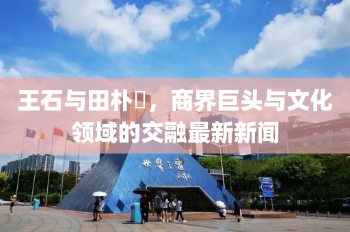王石與田樸琤，商界巨頭與文化領(lǐng)域的交融最新新聞