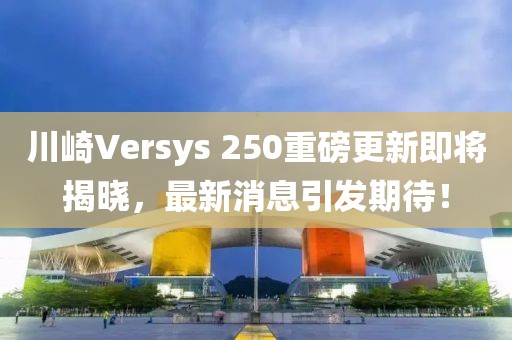 2025年2月19日 第15頁