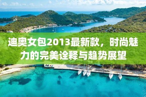 迪奧女包2013最新款，時(shí)尚魅力的完美詮釋與趨勢(shì)展望