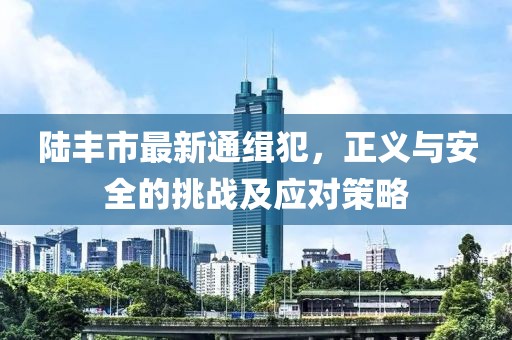 陸豐市最新通緝犯，正義與安全的挑戰(zhàn)及應(yīng)對策略