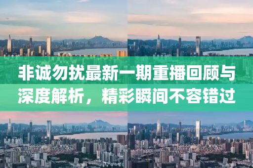 非誠勿擾最新一期重播回顧與深度解析，精彩瞬間不容錯(cuò)過