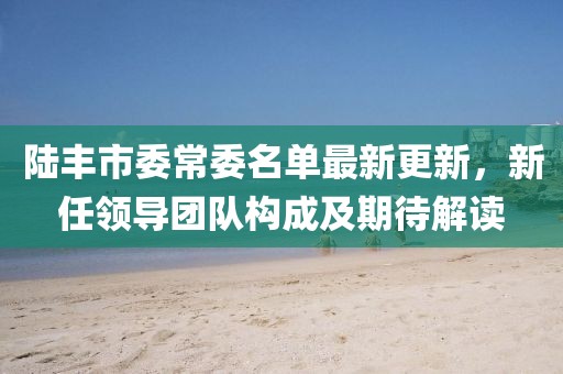 陸豐市委常委名單最新更新，新任領(lǐng)導(dǎo)團(tuán)隊(duì)構(gòu)成及期待解讀