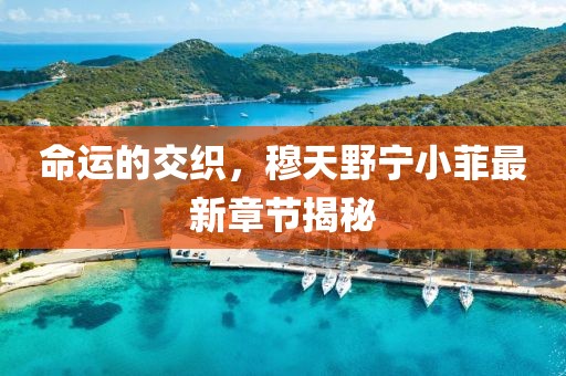 2025年2月21日 第7頁