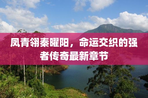 鳳青翎秦曜陽，命運交織的強者傳奇最新章節(jié)