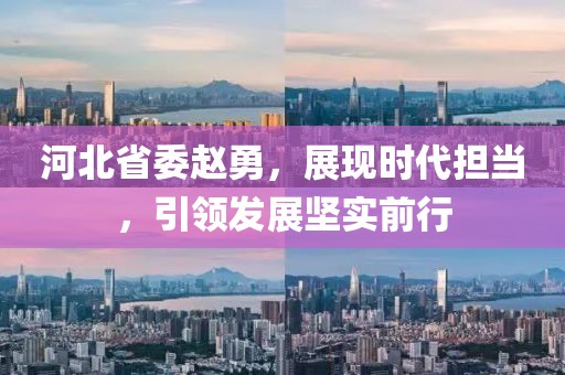 河北省委趙勇，展現(xiàn)時代擔(dān)當(dāng)，引領(lǐng)發(fā)展堅實(shí)前行