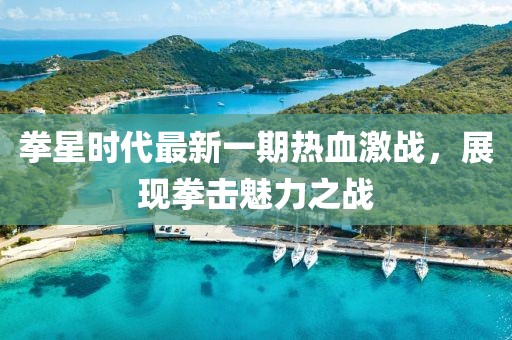 拳星時(shí)代最新一期熱血激戰(zhàn)，展現(xiàn)拳擊魅力之戰(zhàn)