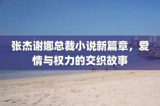 張杰謝娜總裁小說新篇章，愛情與權力的交織故事